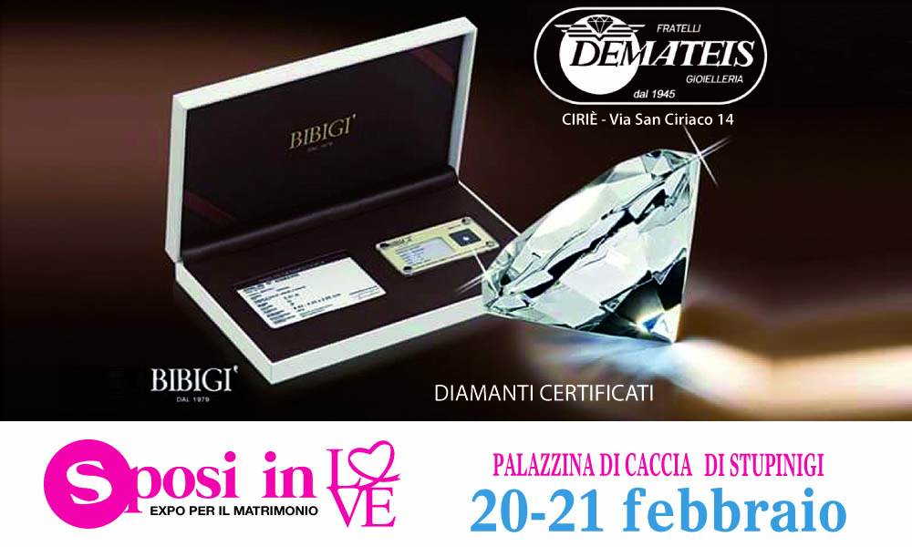 DEMATEIS s sposi-in-20-21-febbraio-2016 DEMATEIS-1000