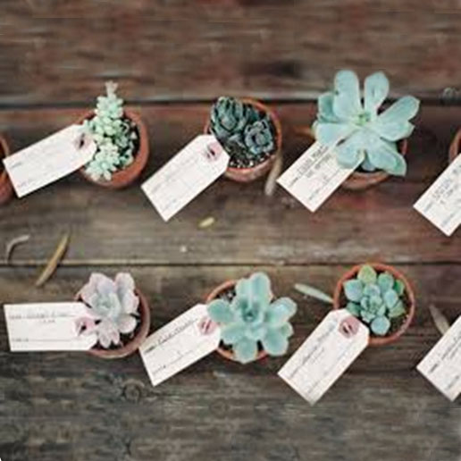 ESCORT CARD