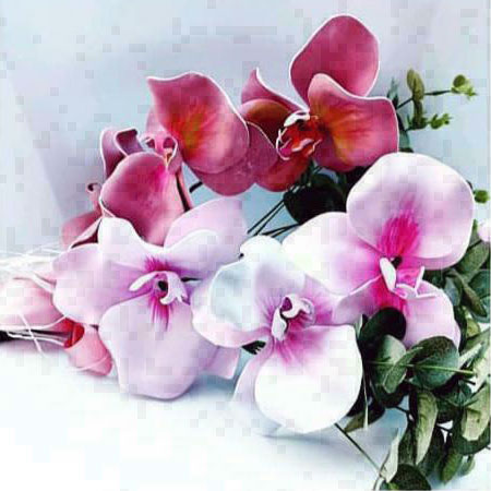Corso Orchidee a Villa Bernocchi Corso Orchidee a Villa Bernocchi